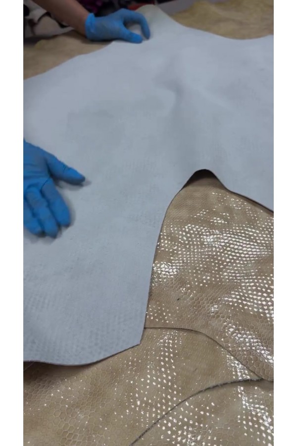 1.3mm 154 desi