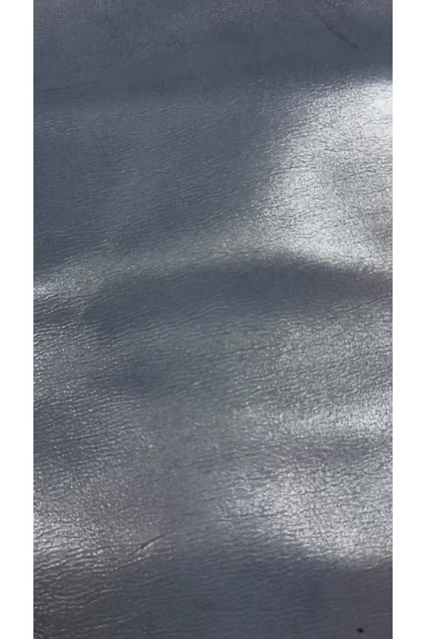 S1