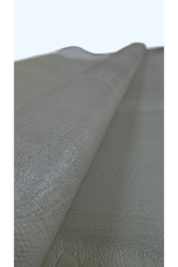 0.8 MM BEJ ANAKONDA BASKILI