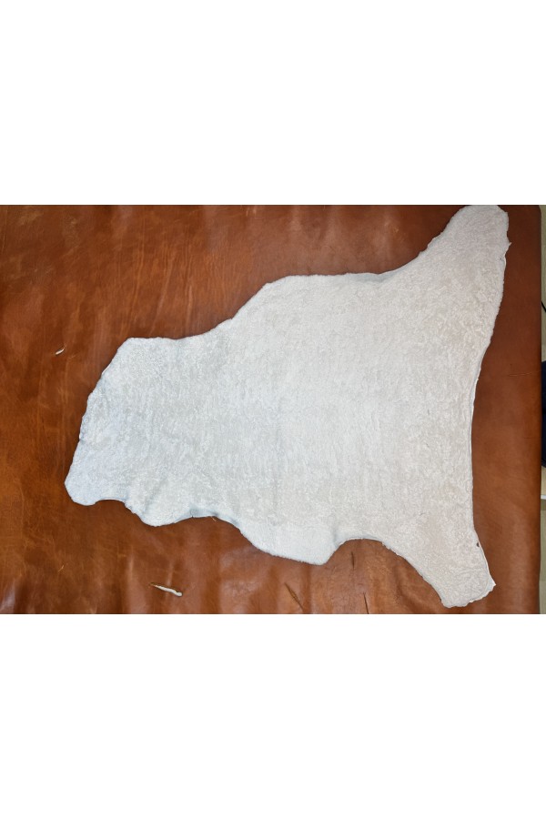 Gerçek koyun posteki