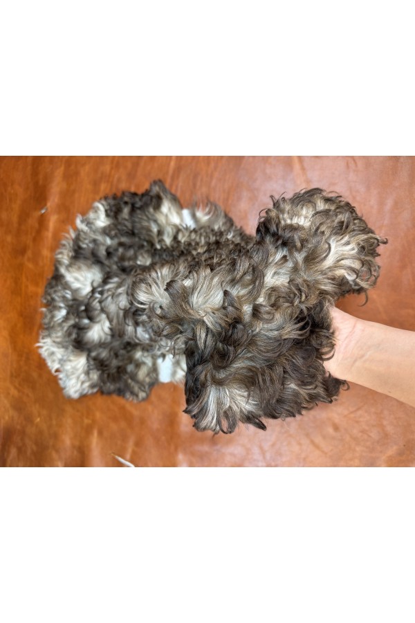 Tiflis koyun posteki