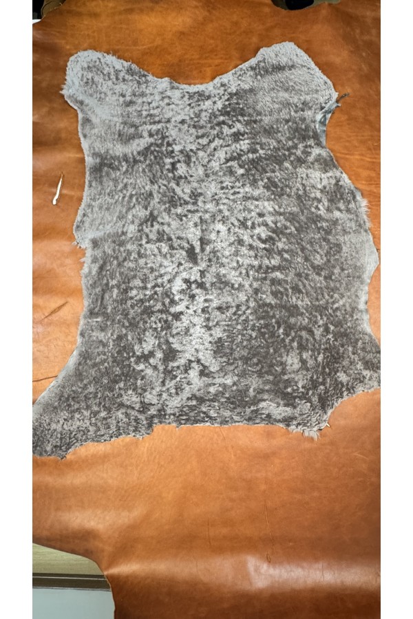 Merinos koyun posteki