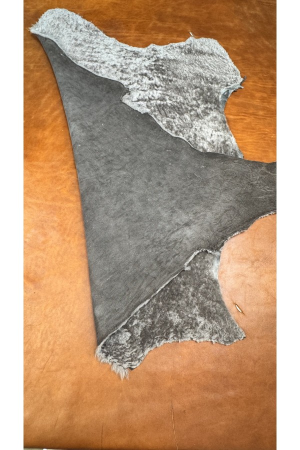 Merinos koyun posteki