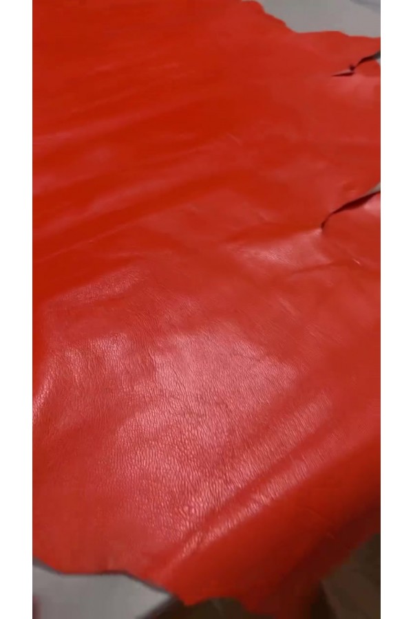 T58