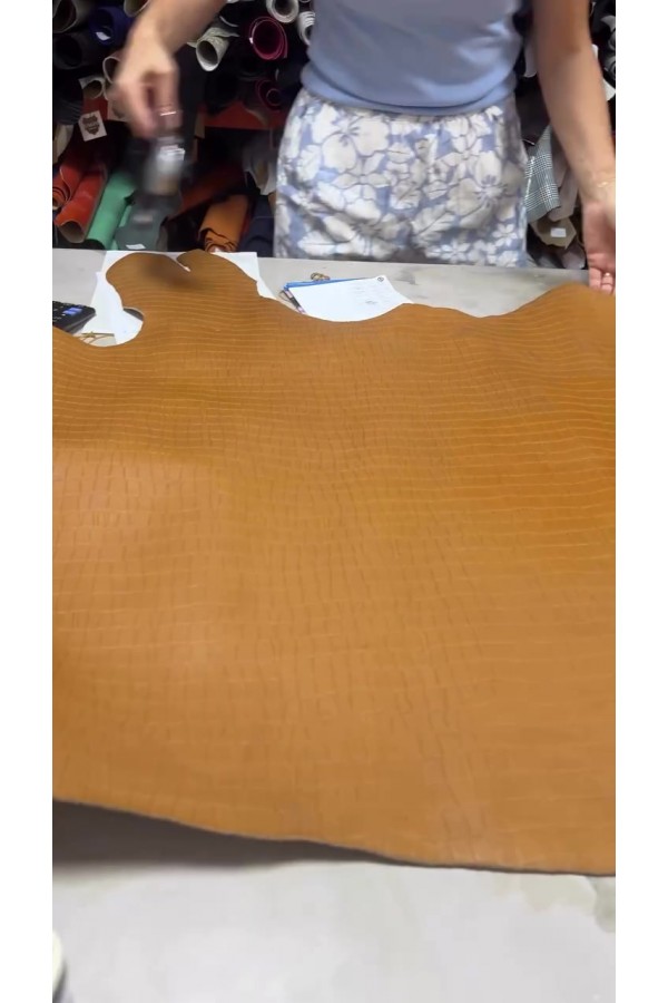 1.3mm 197 desi