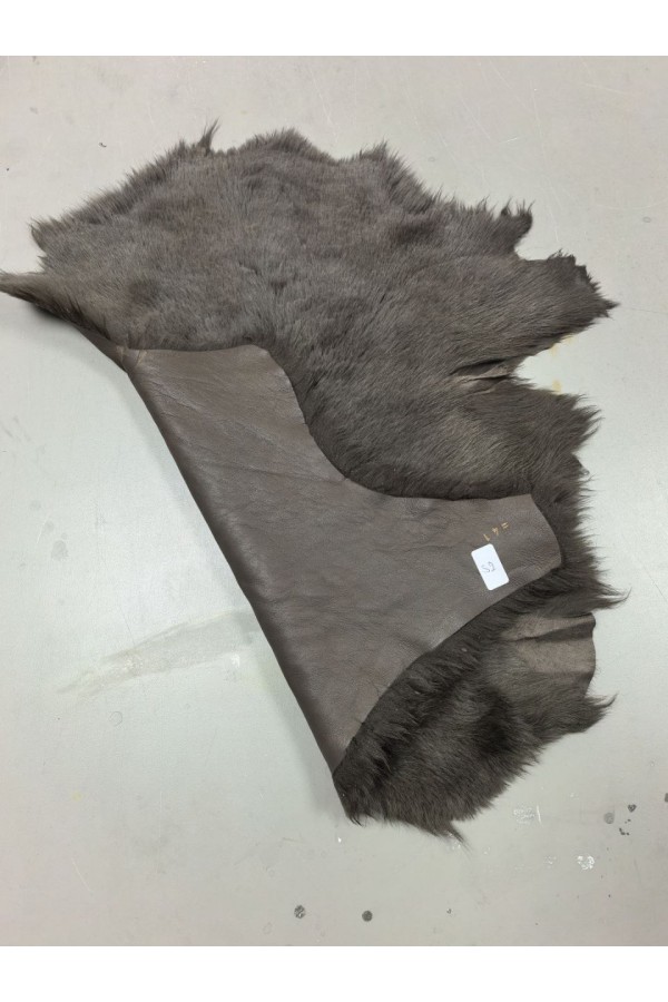 VİZON Toskana Posteki