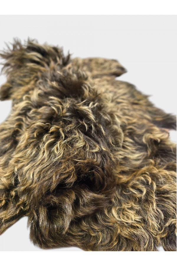 Taba/Kahve Tiflis Posteki